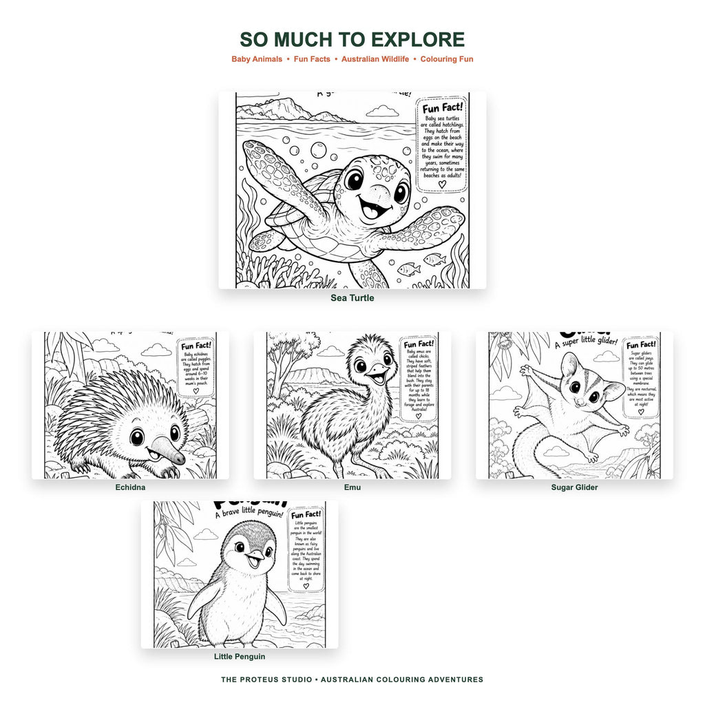 My Baby Australian Animals Adventure Colouring Book - The Proteus Studio, 20 printable baby animal colouring pages