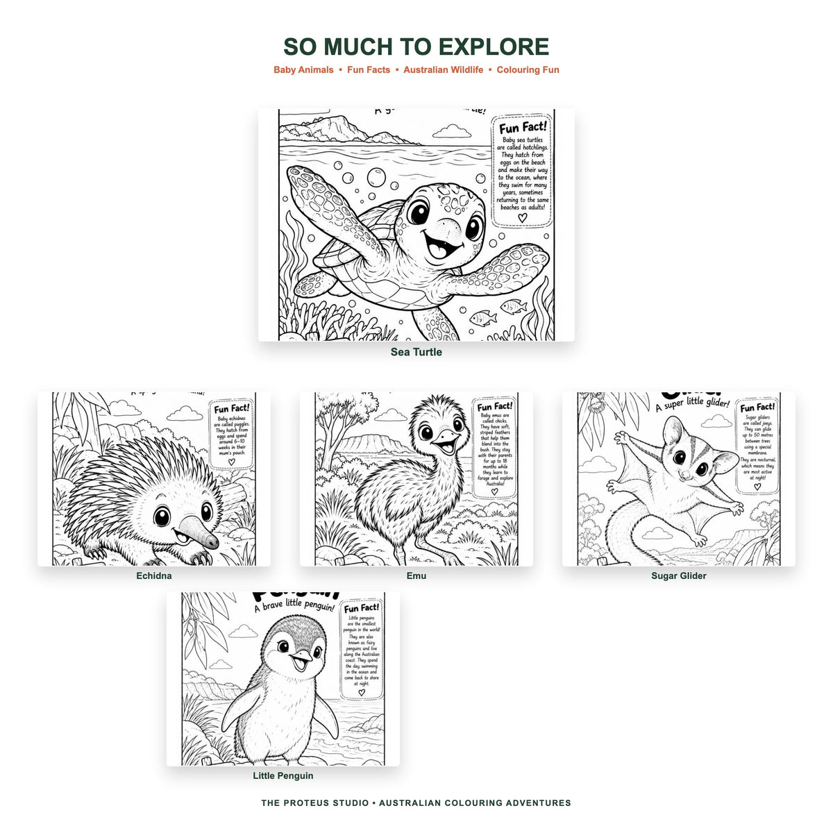 My Baby Australian Animals Adventure Colouring Book - The Proteus Studio, 20 printable baby animal colouring pages