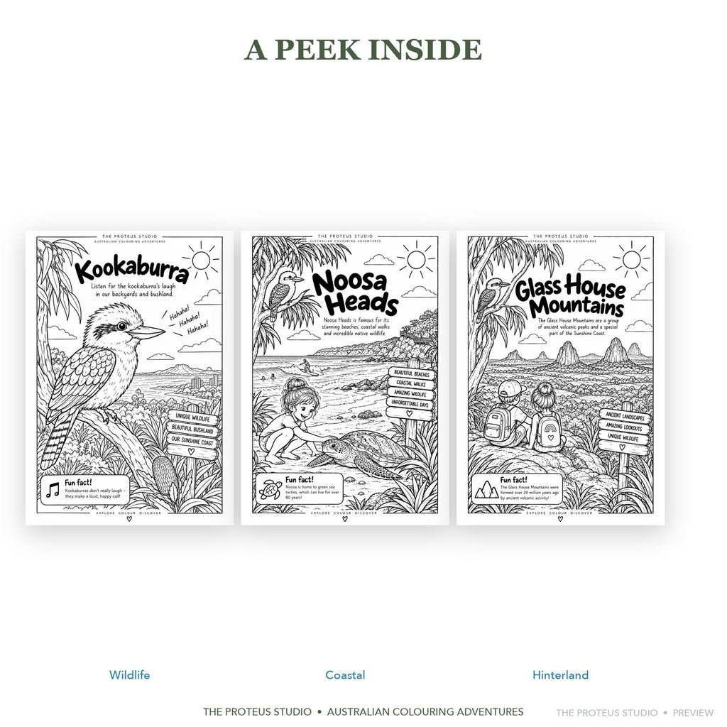 My Sunshine Coast Adventure Colouring Book - The Proteus Studio, 20 printable colouring pages of Sunshine Coast beaches and wildlife