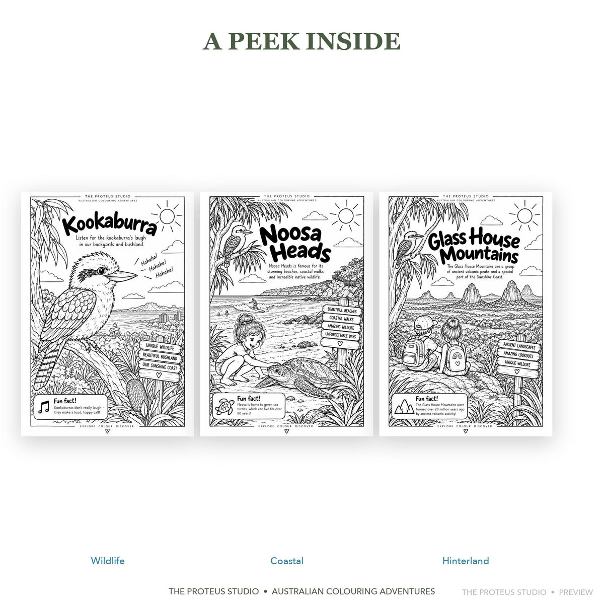 My Sunshine Coast Adventure Colouring Book - The Proteus Studio, 20 printable colouring pages of Sunshine Coast beaches and wildlife