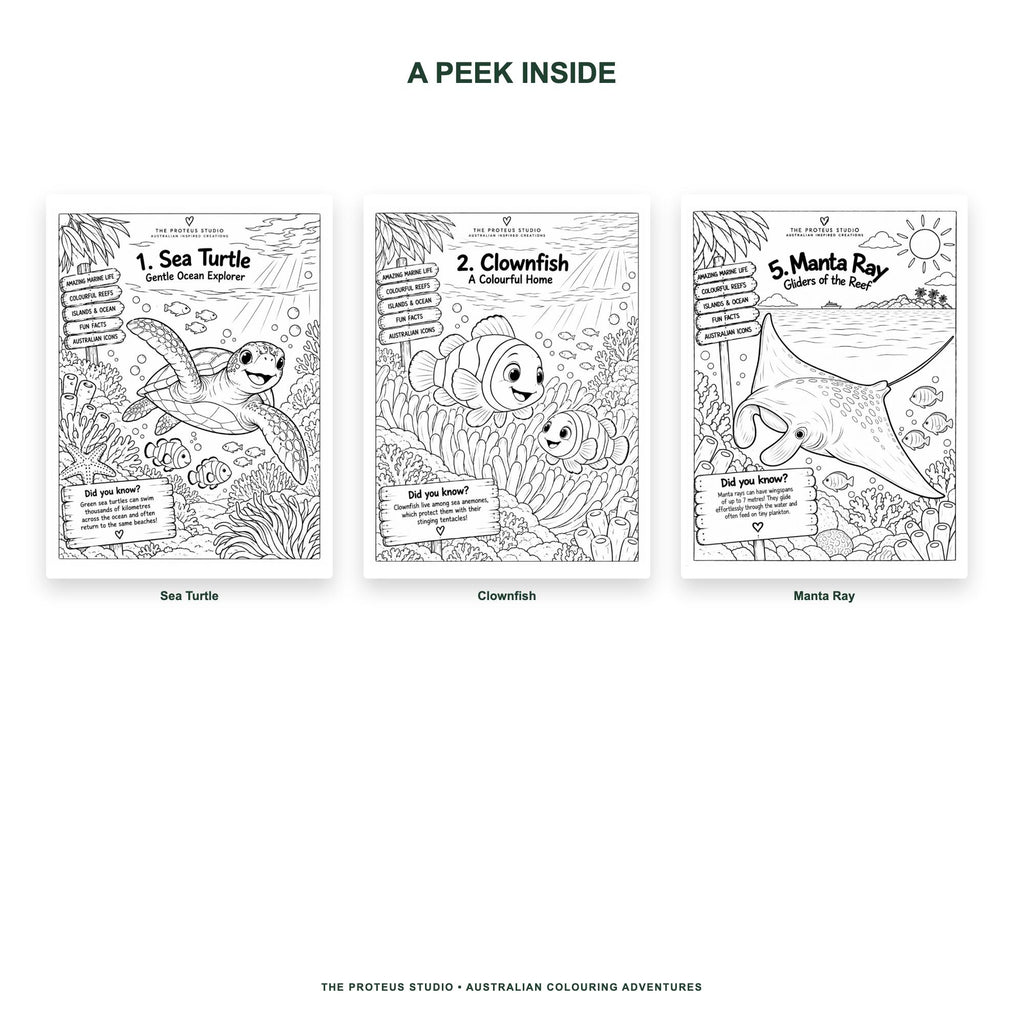 My Great Barrier Reef Adventure Colouring Book - The Proteus Studio, 20 printable colouring pages of reef animals