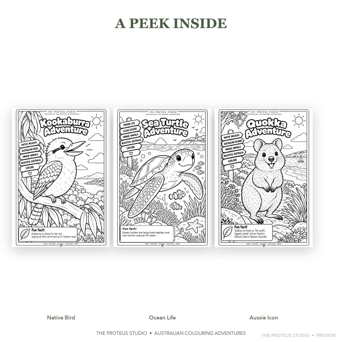 Sample colouring page from Australian Animals Kids Colouring Book featuring native Australian wildlife