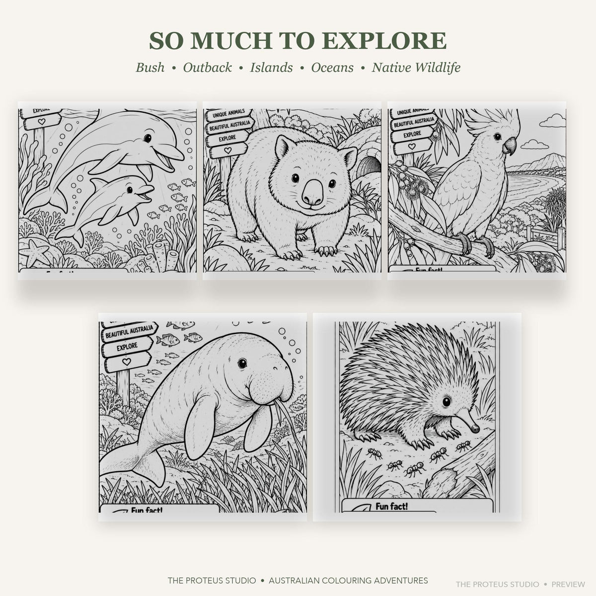 Sample colouring page from Australian Animals Kids Colouring Book featuring native Australian wildlife